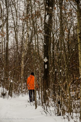 Bruce Trail at Limehouse Conservation Area