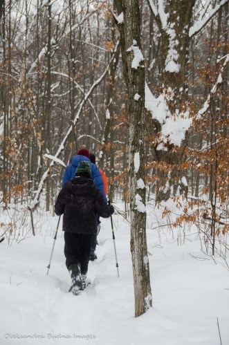 Bruce Trail at Limehouse Conservation Area