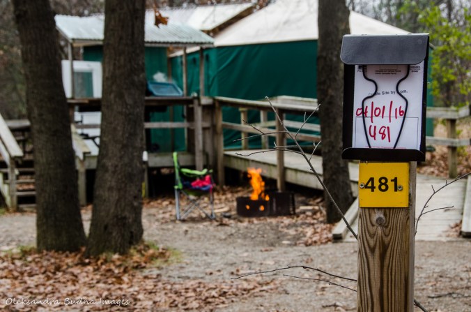 yurt 481 in Pinery Provincial Park
