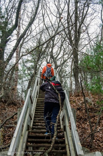 Cedar Trail at pinery in late fall