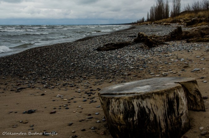 beach at Pinery in late fall