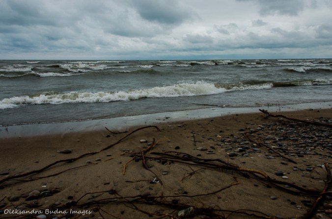 beach at Pinery in late fall