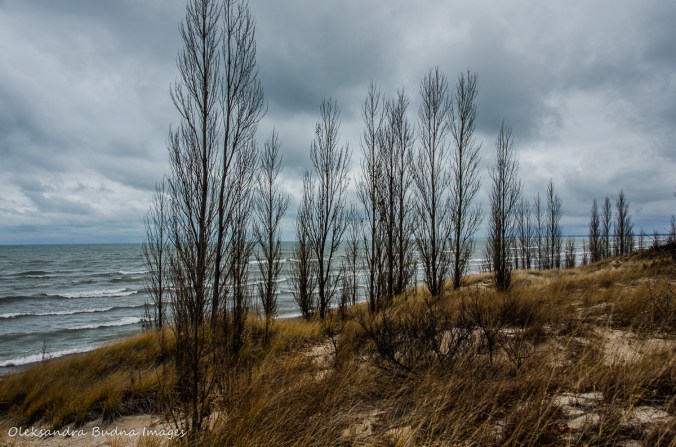 beach at Pinery in late fall