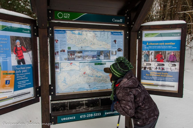 looking at a map of Gatineau park in the winter