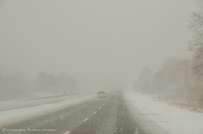 snowstorm on the road