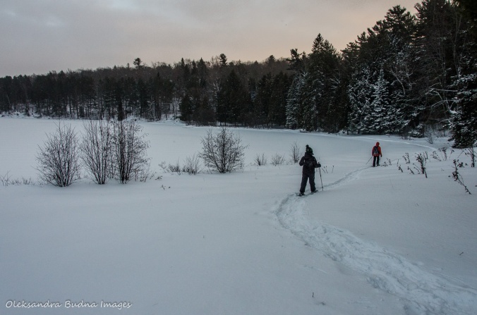 snowshoeing in gatineau park