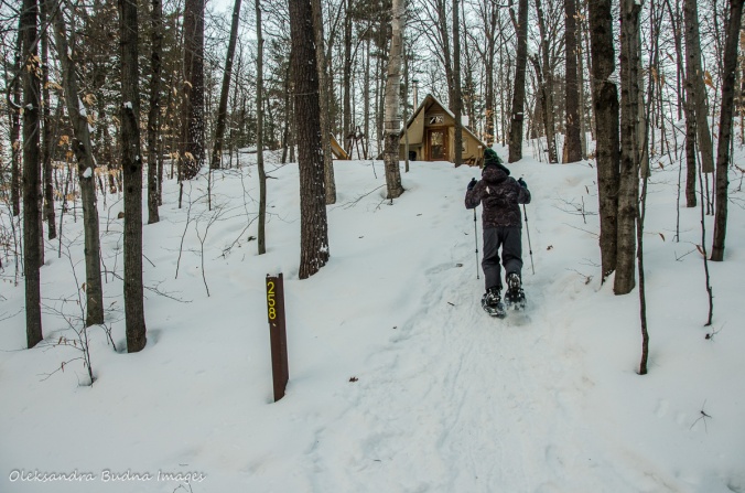 snowshoeing up the hill to four-season tent 258 in gatineau Park