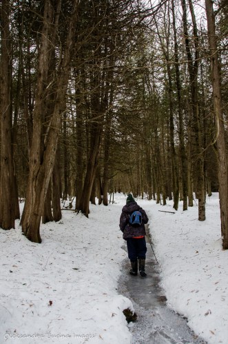 hiking at Hockley Valley Provincial Park