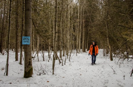 hiking at Hockley Valley Provincial Park