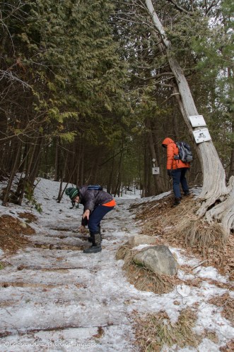 hiking at Hockley Valley Provincial Park