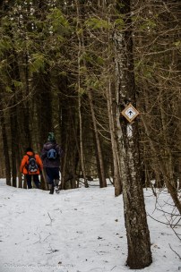 hiking at Hockley Valley Provincial Park