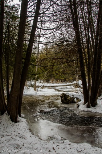 Hockley Valley Provincial Park