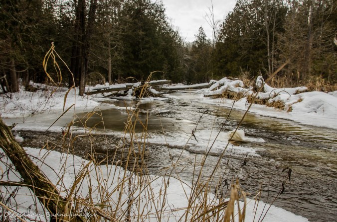 Hockley Valley Provincial Park