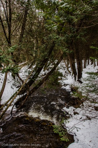Hockley Valley Provincial Park