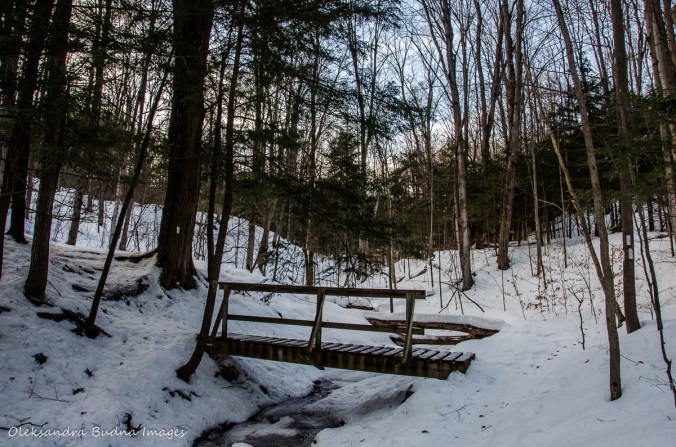 Hockley Valley Provincial Park
