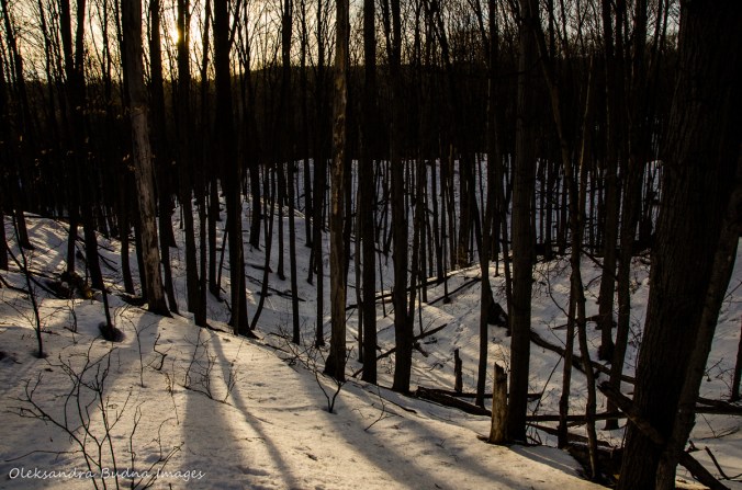 Hockley Valley Provincial Park