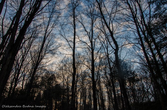 Hockley Valley Provincial Park