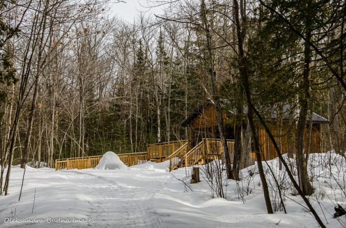 cabin 137 at Killarney Provincial Park