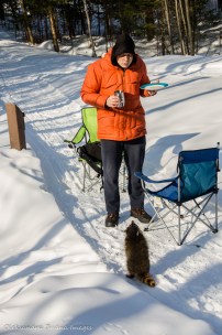 racoon asking for food