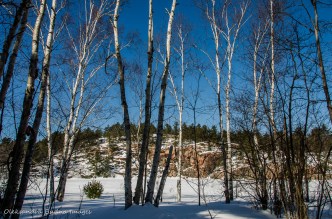 frozen lake along the Cranberry Bog Trail in Killarney in the winter
