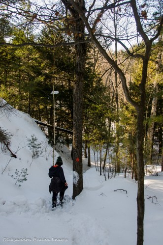snowshoeing the Cranberry Bog Trail in Killarney in the winter