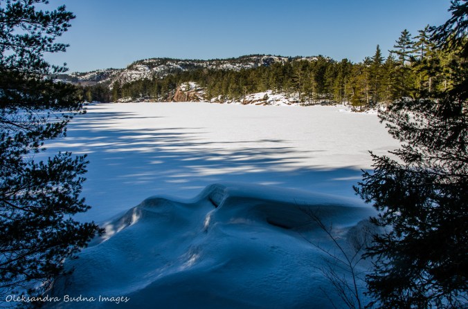 frozen lake along the Cranberry Bog Trail in Killarney in the winter