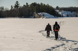 crossing George Lake in the winter