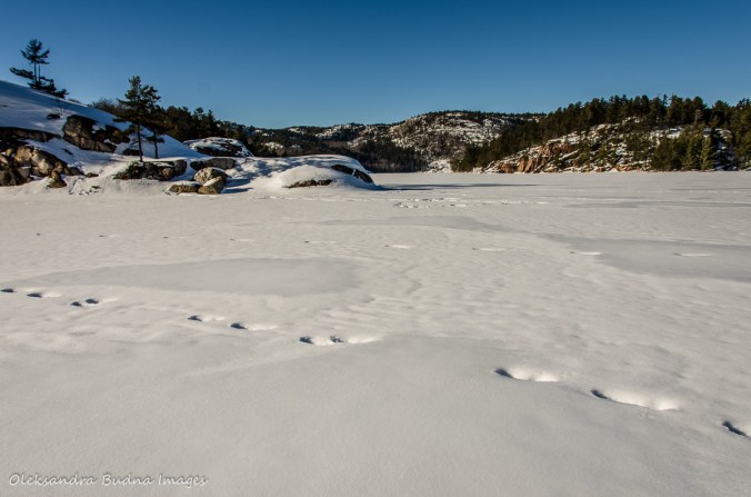 George Lake in Killarney in the winter