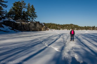 crossing George Lake in Killarney in the winter