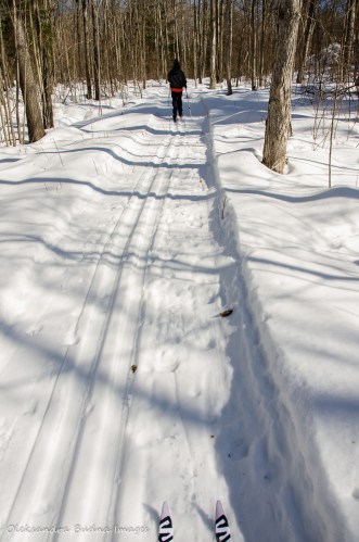 cross-coutnry skiing on the Freeland Trail in Killarney