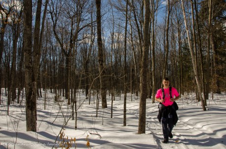 walking along the Freeland Trail in Killarney