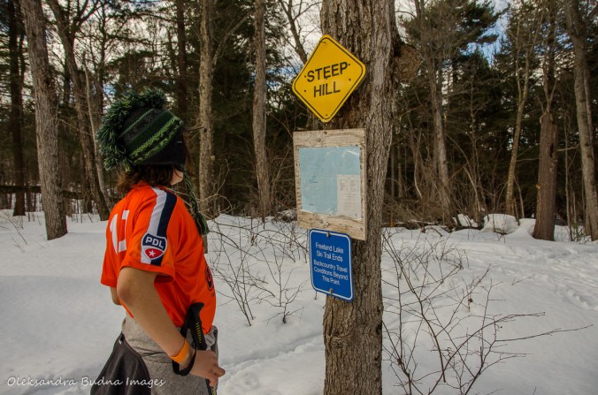 cross-coutnry skiing on the Freeland Trail in Killarney