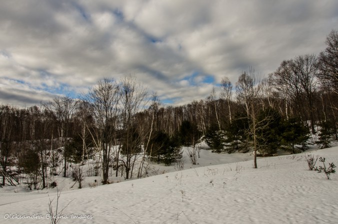 cross-coutnry skiing on the Freeland Trail in Killarney