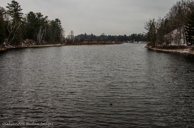 Old Ausable Channel at Pinery in the winter
