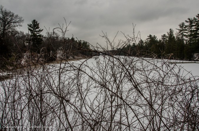 Old Ausable Channel at Pinery in the winter