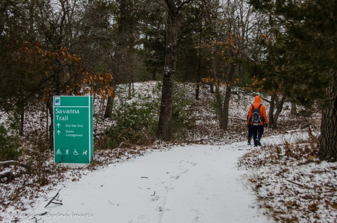 Savanna Trail at Pinery in the winter