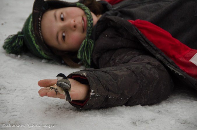 hand feeding a chickadee