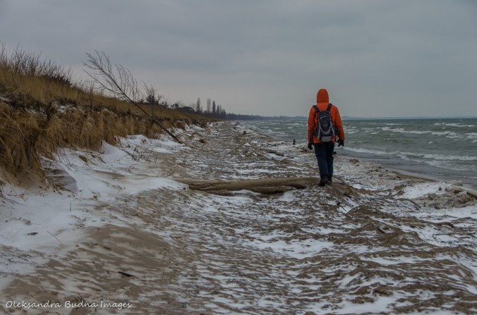 walking along the beach in Pinery in the winter