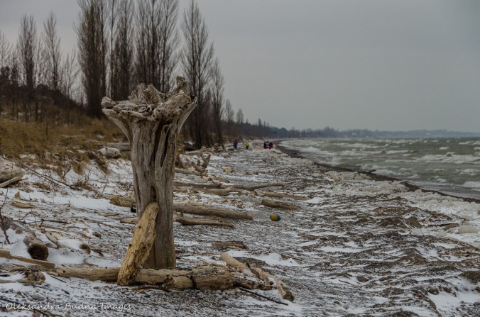Lake Huron in the winter at Pinery