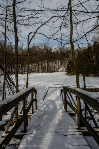Hiking at SilverCreek CA