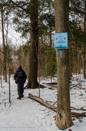 Hiking at SilverCreek CA