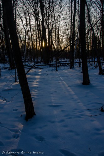 Hiking at SilverCreek CA