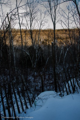 Hiking at SilverCreek CA