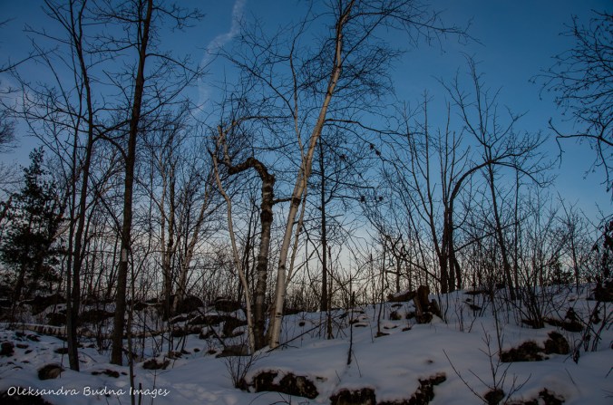 Hiking at SilverCreek CA