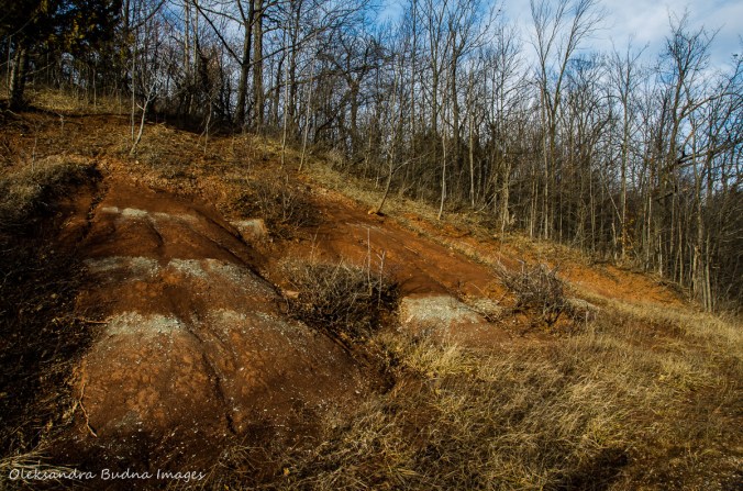 hiking at Terra Cotta CA