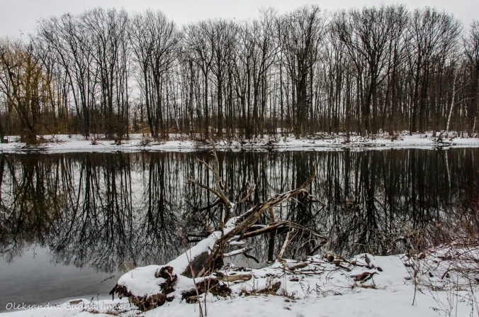 Terra Cotta CA in the winter