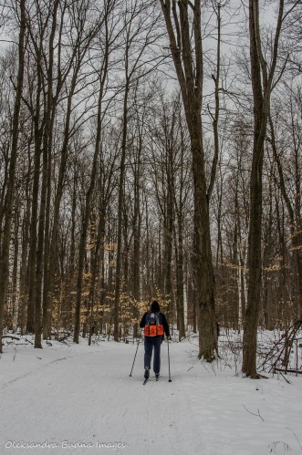 skiing at Terra Cotta CA