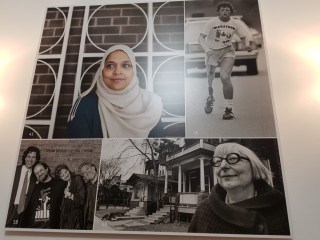 150 stoies collection