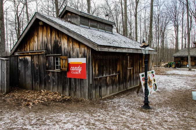 Cancy cabin at Mountsber Conservation Area