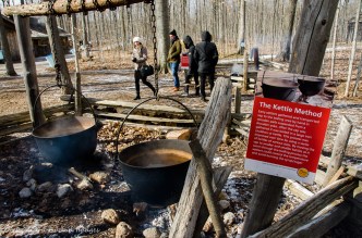 maple syrup making demonstration at Mountsber Conservation Area